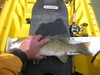 Fish pics 2010 149 thumb