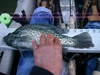 Imgp3945 thumb