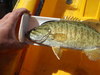 P4090549 thumb