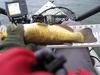 Bullhead2 640 thumb