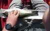 Calero 16in bass1 thumb