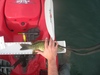 Theonlybassoftheday thumb