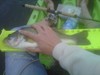Img00047 20101017 1825 1  thumb