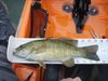 Smallie 1 thumb