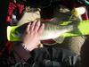 1st bass 2011  small  thumb