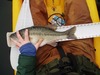 Bass thumb