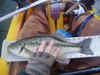 020211 jim natoma  19  thumb