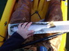 021211claireengle  11  thumb