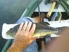 16 lmb 4 12 11  2 thumb