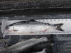 Kokanee 4 23 11 15.25 thumb