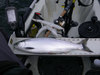 17 inch kokanee thumb