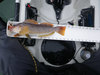 14.25 inch greenling thumb