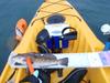 15 inch greenling thumb