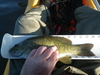 Sm bass lake britton 4 29 11 thumb