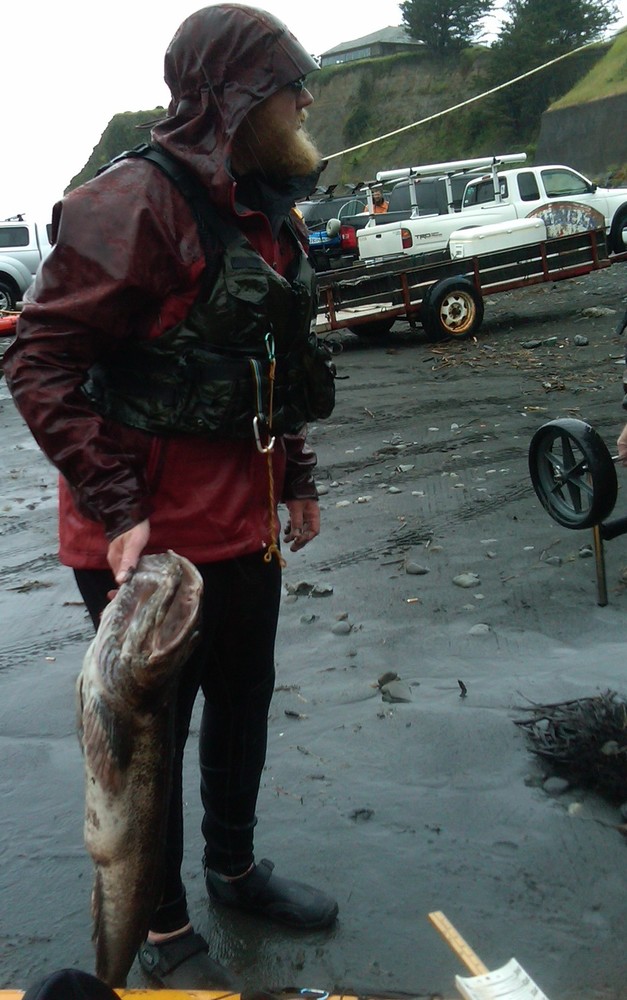 Jims lingcod