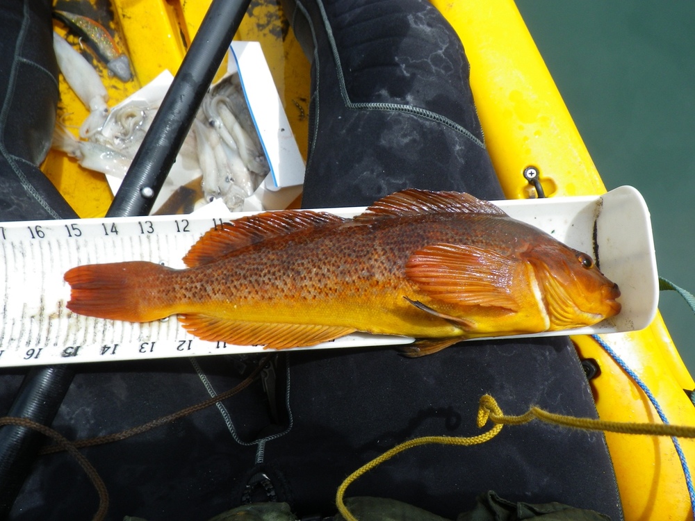 07 2011 shelter cove ca  2s 
