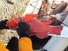 Vermillion  22.75 in  timber cover  10 26 11 thumb