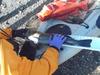 Ling  27.7 in.  timber cove  10 26 11 thumb