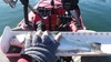 Imgp0316 thumb