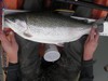 1332149514 angler2132 team386 thumb