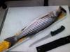 Striper whole 3 26 2012  thumb