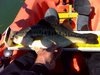 Yakhopper cl 4 15 2012 004 thumb