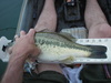 Imgp0003 thumb