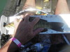 Imgp0018 thumb