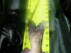 259 thumb