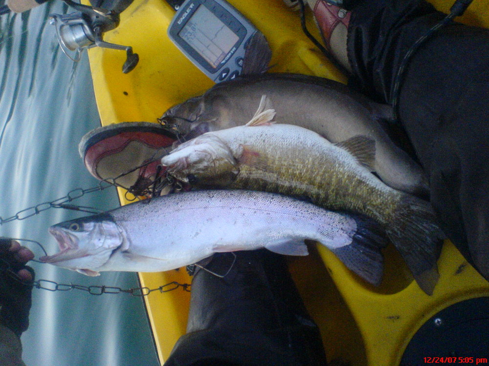 Berryessa yak fish 12 24 07 004