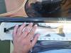 13.75troutaoty thumb