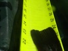 Tc 028 thumb