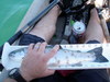 P7010274 thumb