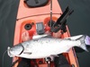 Mbsalmon  1   1280x960  thumb