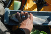 Trout1 spdr 022313 thumb