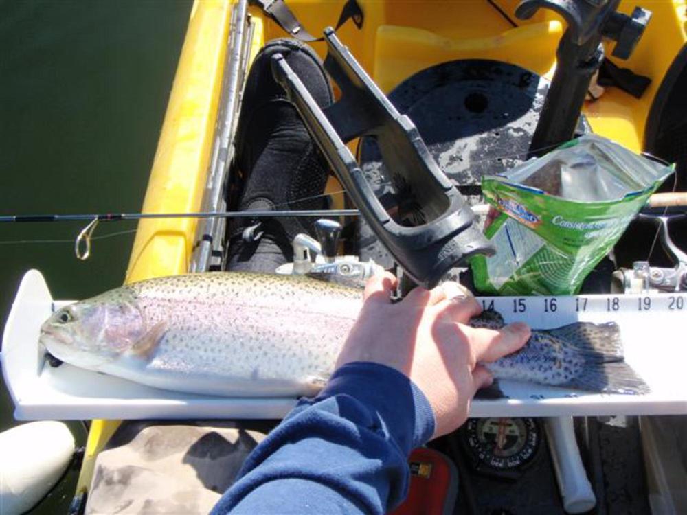 Crappie trout 004  small 