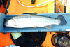 16.0 trout1 thumb