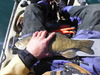 Dscf4388 thumb
