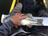 Photo  17  thumb
