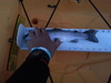20130321 193646 thumb