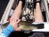 P4270546 thumb