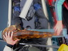 Lingcod thumb