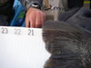 Imgp1863 thumb