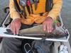 Catfish   pardee   23.50 thumb