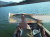 Img 20130712 070348 thumb