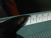 Dscf4387 thumb