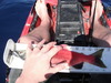 Dscf6194 thumb
