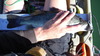 Dscf2483 thumb