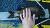 Imgp4221 thumb