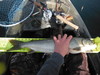 Dscf3035 thumb